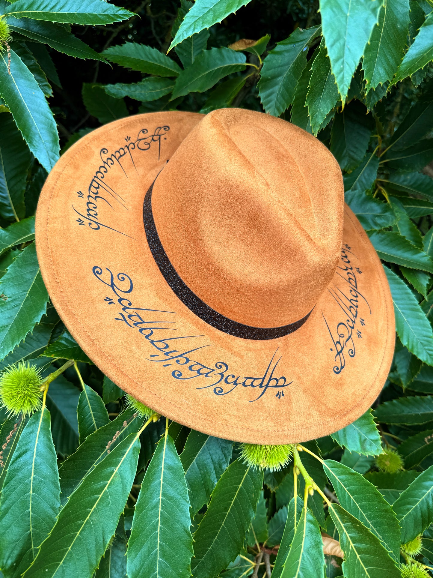 Chapeau « pour les gouverner tous »
