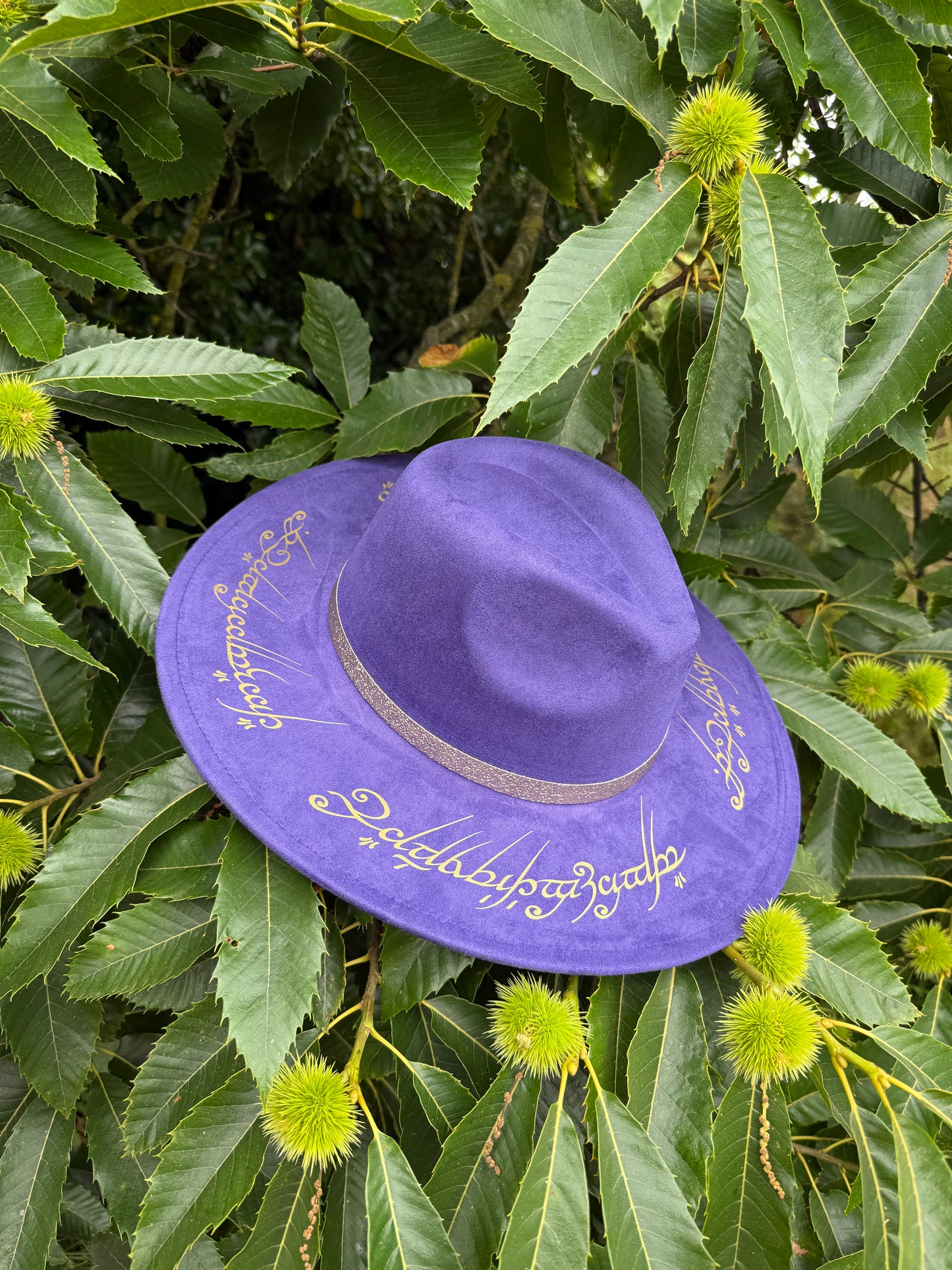 Chapeau « pour les gouverner tous »