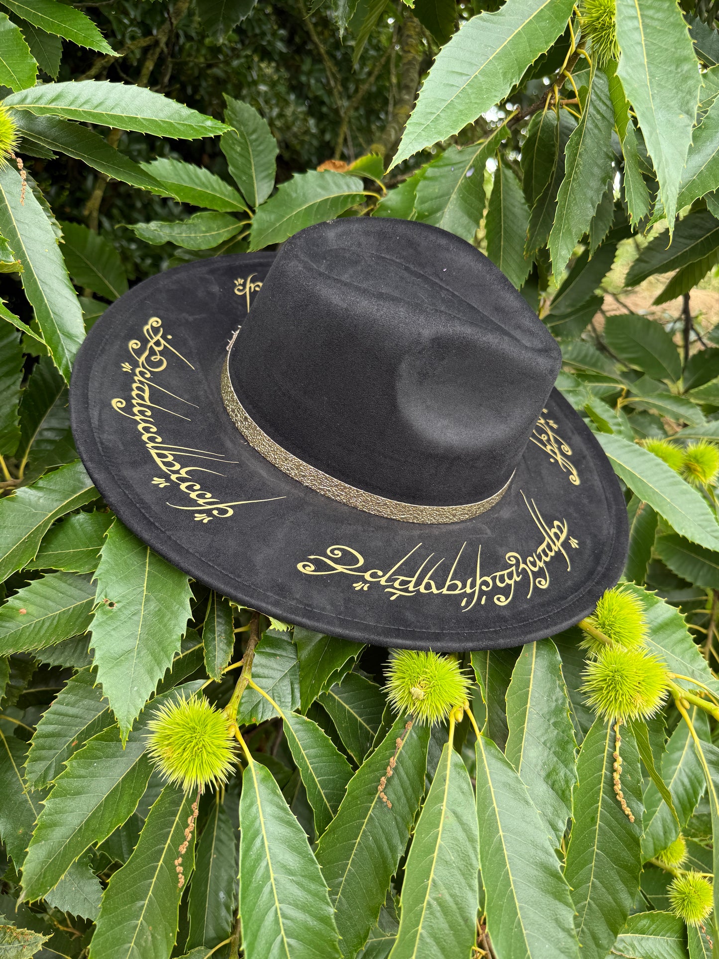 Chapeau « pour les gouverner tous »