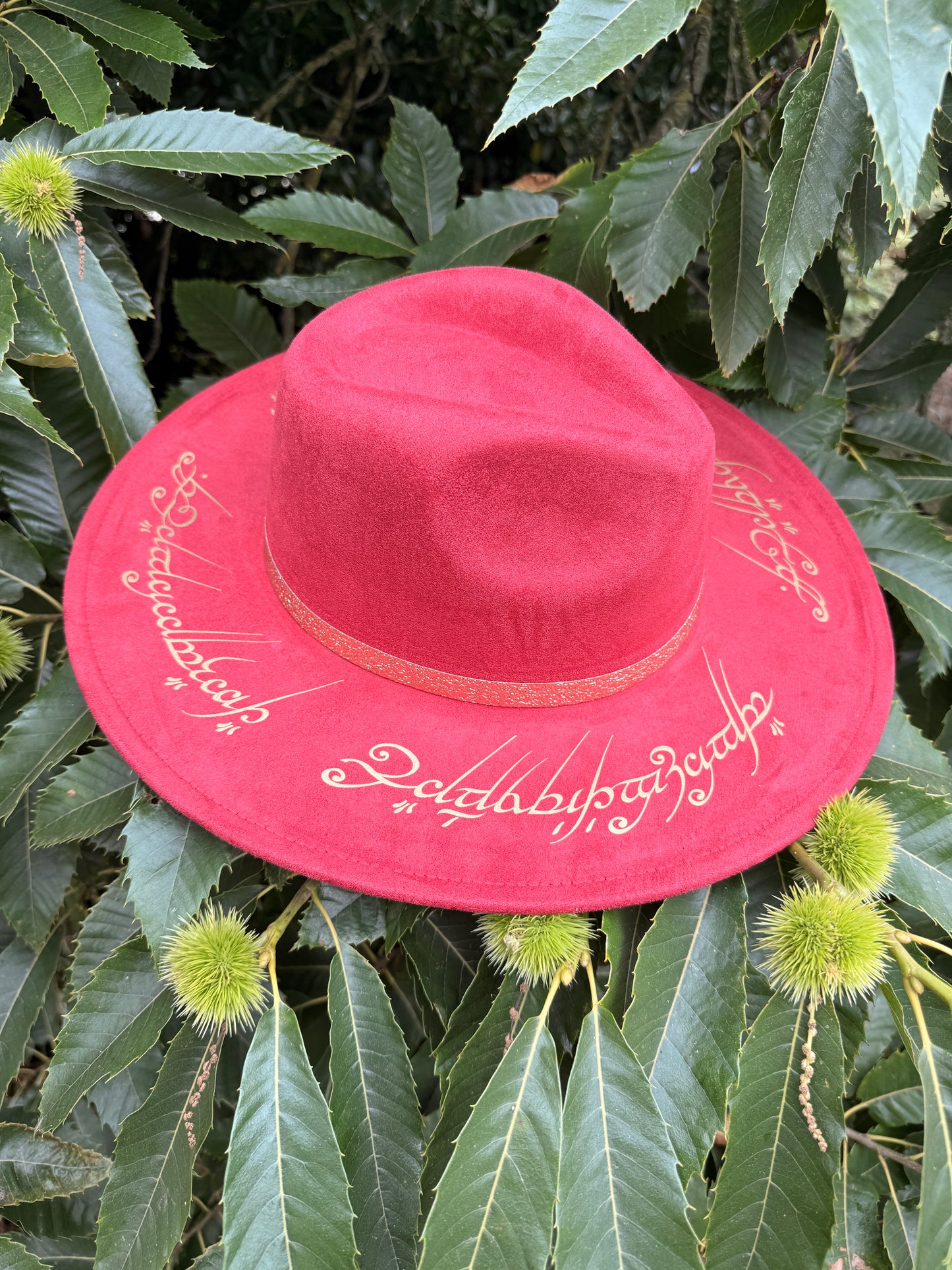 Chapeau « pour les gouverner tous »