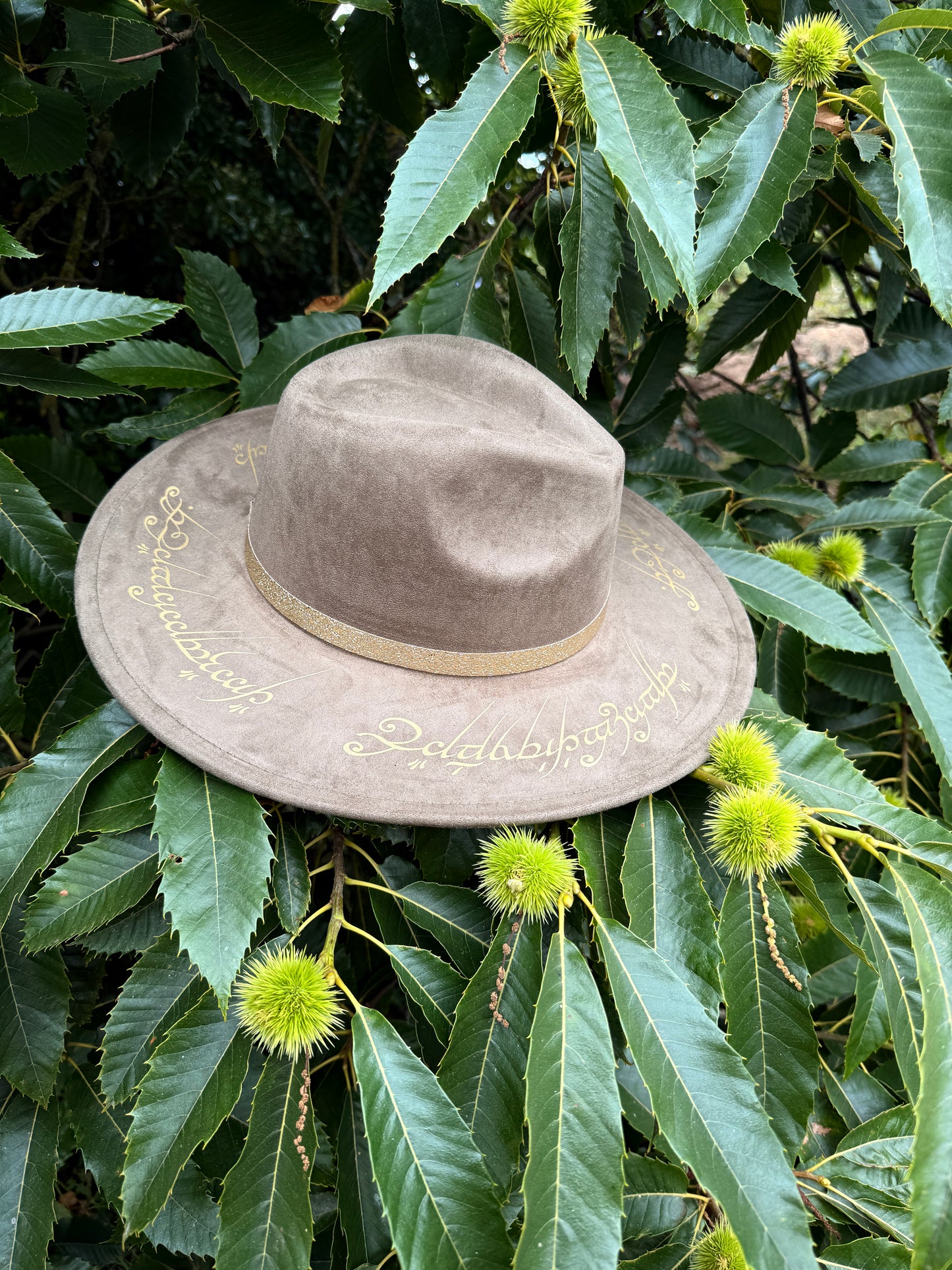Chapeau « pour les gouverner tous »